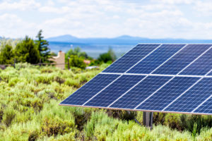 Solar Panel Scams Litigation, Patrick Griebel